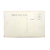 Painterly Mid 20th Century Kodak Real Photo/Photogram Postcard of Leafy Stalk