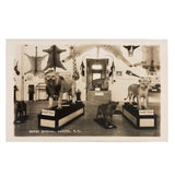 Morse Museum, Warren NH Real Photo Postcard c. 1930s