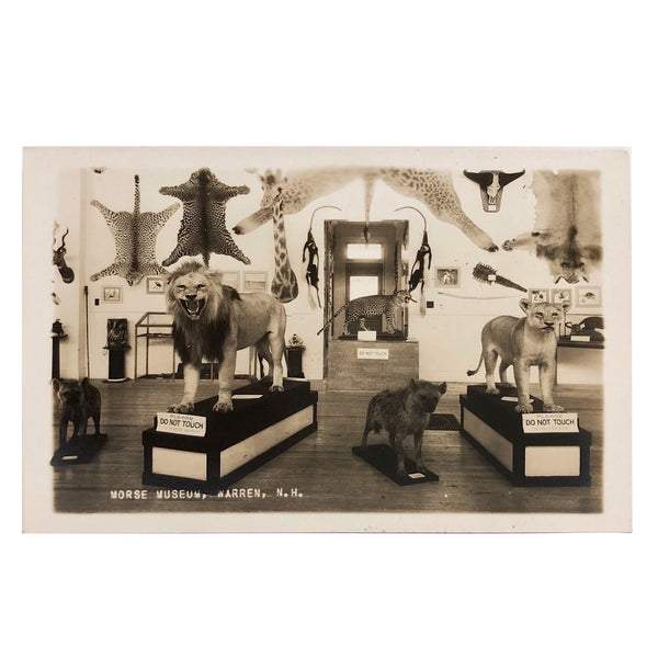 Morse Museum, Warren NH Real Photo Postcard c. 1930s