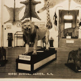 Morse Museum, Warren NH Real Photo Postcard c. 1930s