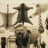 Morse Museum, Warren NH Real Photo Postcard c. 1930s