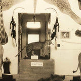 Morse Museum, Warren NH Real Photo Postcard c. 1930s