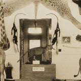 Morse Museum, Warren NH Real Photo Postcard c. 1930s