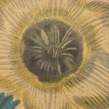 Ixia, Milla, Blue Babiana, Exuberantly Watercolored Antique Botanical Print, Framed