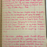 Old Ledger Turned 1971 Diary of High School Junior-Senior (Written in Pink Marker!)