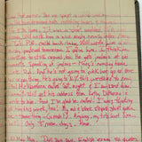 Old Ledger Turned 1971 Diary of High School Junior-Senior (Written in Pink Marker!)