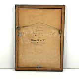 Ixia, Milla, Blue Babiana, Exuberantly Watercolored Antique Botanical Print, Framed