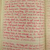Old Ledger Turned 1971 Diary of High School Junior-Senior (Written in Pink Marker!)