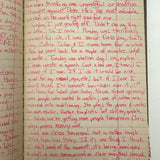Old Ledger Turned 1971 Diary of High School Junior-Senior (Written in Pink Marker!)
