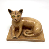 Hazel The Wonderful Cat (with one well mended ear)