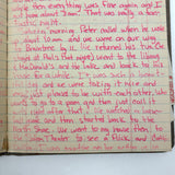 Old Ledger Turned 1971 Diary of High School Junior-Senior (Written in Pink Marker!)