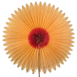 Radiant Old Crepe Paper Star