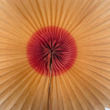 Radiant Old Crepe Paper Star