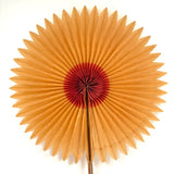 Radiant Old Crepe Paper Star