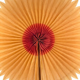 Radiant Old Crepe Paper Star