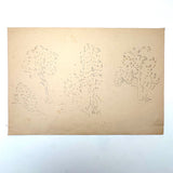For the Kindergarten, Drawing Made Easy, Complete c. 1890 Drawing Stencil Set with Many Drawings