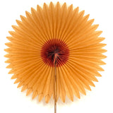 Radiant Old Crepe Paper Star