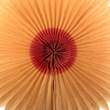 Radiant Old Crepe Paper Star