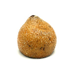 Early Stone Fruit Lemon Half