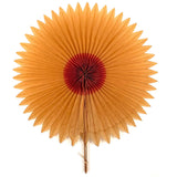 Radiant Old Crepe Paper Star