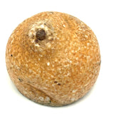 Early Stone Fruit Lemon Half