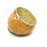 Early Stone Fruit Lemon Half