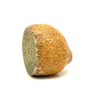 Early Stone Fruit Lemon Half