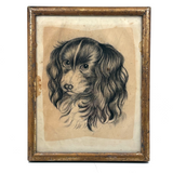 Portrait of a Spaniel "Drawn for Annie Athelia Archer by her Teacher", 19th Century Charcoal in Period Gilded Frame