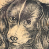 Portrait of a Spaniel "Drawn for Annie Athelia Archer by her Teacher", 19th Century Charcoal in Period Gilded Frame