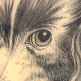 Portrait of a Spaniel "Drawn for Annie Athelia Archer by her Teacher", 19th Century Charcoal in Period Gilded Frame