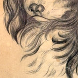 Portrait of a Spaniel "Drawn for Annie Athelia Archer by her Teacher", 19th Century Charcoal in Period Gilded Frame