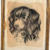 Portrait of a Spaniel "Drawn for Annie Athelia Archer by her Teacher", 19th Century Charcoal in Period Gilded Frame