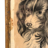 Portrait of a Spaniel "Drawn for Annie Athelia Archer by her Teacher", 19th Century Charcoal in Period Gilded Frame