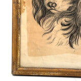 Portrait of a Spaniel "Drawn for Annie Athelia Archer by her Teacher", 19th Century Charcoal in Period Gilded Frame