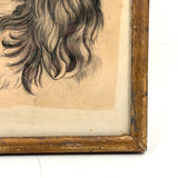 Portrait of a Spaniel "Drawn for Annie Athelia Archer by her Teacher", 19th Century Charcoal in Period Gilded Frame