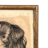 Portrait of a Spaniel "Drawn for Annie Athelia Archer by her Teacher", 19th Century Charcoal in Period Gilded Frame