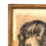 Portrait of a Spaniel "Drawn for Annie Athelia Archer by her Teacher", 19th Century Charcoal in Period Gilded Frame