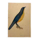 Elsie Zimmerman's Sweet Bird (Blue Flycatcher?) Watercolor, PA, c. 1930s