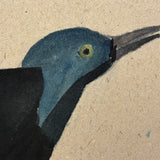 Elsie Zimmerman's Grackle (I believe!), c. 1930s School Watercolor