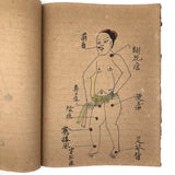 Traditional Chinese Medicine: Fantastic c. Early 20th C. Notebook Full of Illustrative Drawings (Copy)