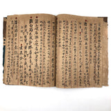 Traditional Chinese Medicine: Fantastic c. Early 20th C. Notebook Full of Illustrative Drawings (Copy)