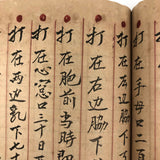 Traditional Chinese Medicine: Fantastic c. Early 20th C. Notebook Full of Illustrative Drawings (Copy)