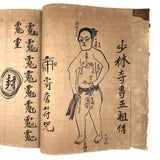 Traditional Chinese Medicine: Fantastic c. Early 20th C. Notebook Full of Illustrative Drawings (Copy)
