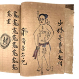 Traditional Chinese Medicine: Fantastic c. Early 20th C. Notebook Full of Illustrative Drawings (Copy)