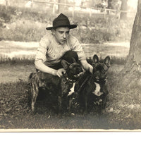 Beautiful Boy with Pair of French Bulldogs Antique Snapshot Photo