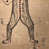 Traditional Chinese Medicine: Fantastic c. Early 20th C. Notebook Full of Illustrative Drawings (Copy)