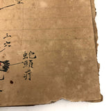 Traditional Chinese Medicine: Fantastic c. Early 20th C. Notebook Full of Illustrative Drawings (Copy)