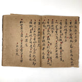 Traditional Chinese Medicine: Fantastic c. Early 20th C. Notebook Full of Illustrative Drawings (Copy)