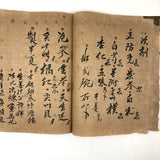 Traditional Chinese Medicine: Fantastic c. Early 20th C. Notebook Full of Illustrative Drawings (Copy)