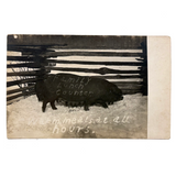Warm.meals.at.all.hours: Wonderful Early 1900s Family Lunch Counter Advertising RPPC With Sow